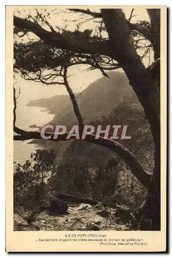 Cartes postales Ile de Port Cros Var Ses sentiore longeant les cretes sauvages ou nichant les goelands