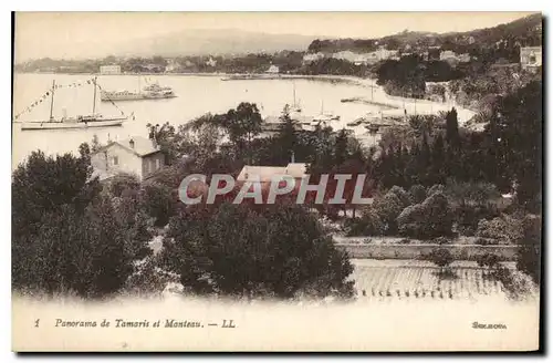 Cartes postales Panorama de Tamaris et Monteau