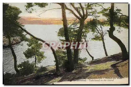 Cartes postales Toulon Bord de mer Le Littoral