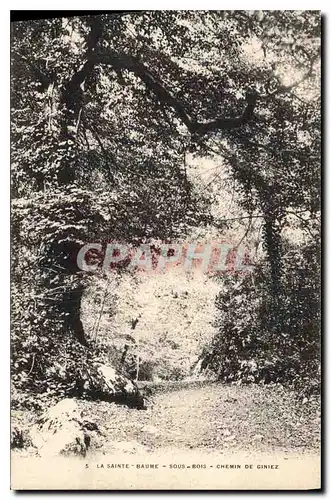 Cartes postales La Sainte Baume Sous Bois Chemin de Giniez