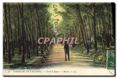 Cartes postales Corniche de L'Esterel Foret d'Aigues Boumi