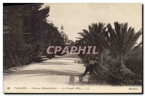 Cartes postales Tamaris Chateau Michel Pacha La Grande Allee