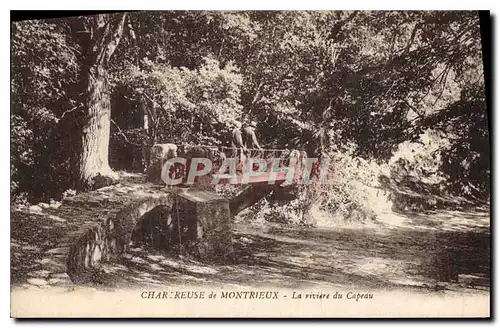 Ansichtskarte AK Chartreuse de Montrieux La riviere du Capeau