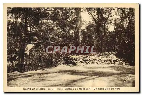 Ansichtskarte AK Saint Zacharie Var Hotel Chateau de Mont Vert Un Sous Bois du Parc