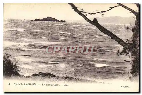 Cartes postales Saint Raphael Le Lion de Mer