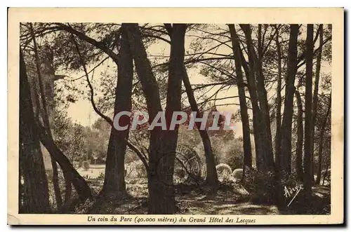 Cartes postales Un coin du Parc du Grand Hotel des Lecques