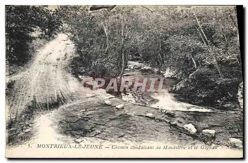 Cartes postales Montrieux le Jeune Chemin conduisant au Monastere et le Gapeau