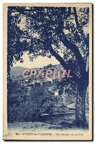 Cartes postales Hyeres les Palmiers Une echappee vers la Ville