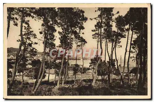 Cartes postales Cote d'Azur Sainte Maxime sur Mer Var La Pinede