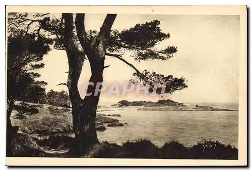 Cartes postales Cote d'Azur Les Iles d'Hyeres Var Porquerolles Bord de Mer