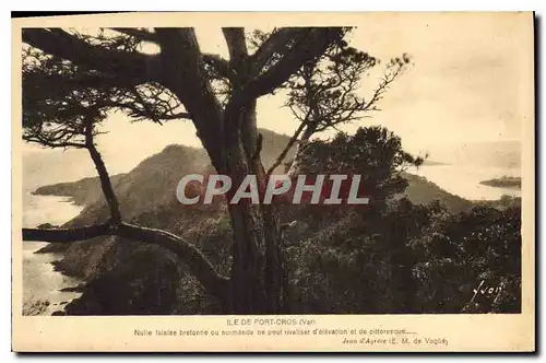 Cartes postales Ile de Port Cros Var Nullee faloine ou normande ne peut rvalier d'elevation et de pittoresque