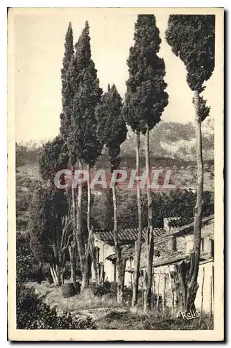 Cartes postales Paysage provencal