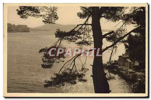 Cartes postales Toulon Var Anse de Magaud