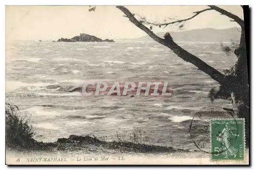 Cartes postales Saint Raphael Le Lion de Mer