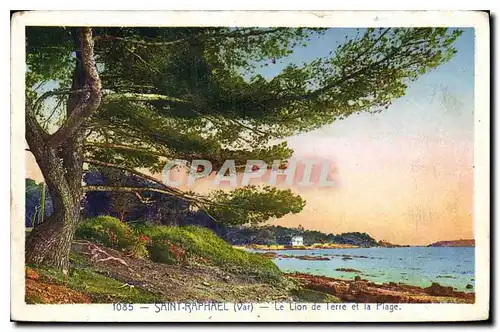 Cartes postales Saint Raphael Var Le Lion de Terre et le Plage