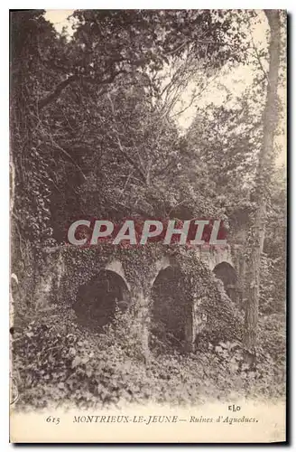 Ansichtskarte AK Montrieux Le Jeune Ruines d'Aqueducs