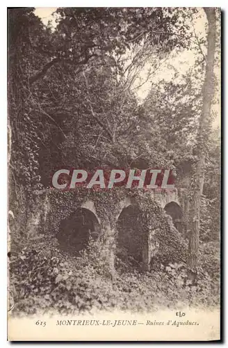 Cartes postales Montrieux Le Jeune Ruines d'Aqueducs
