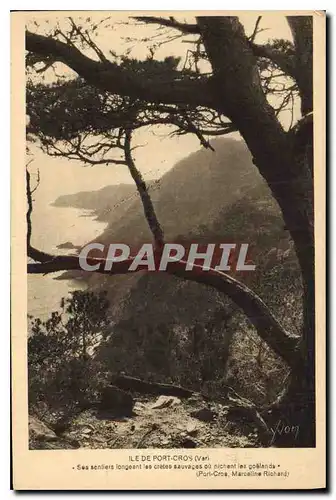 Cartes postales Ile de Port Cros Var