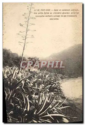 Cartes postales Ile de Port Cros Dans un isolement poetique une petite Eglise au clocheton gracieux qu'un bel eu