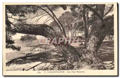 Cartes postales Carqueiranne Les Pins Penches