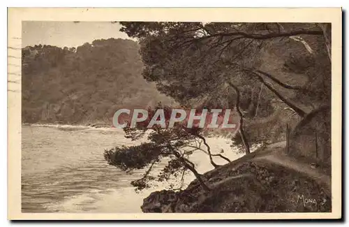 Cartes postales Toulon Sentier du Mourillon au Cap Brun