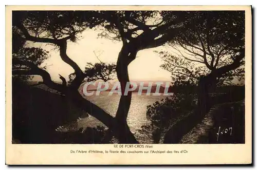 Cartes postales Ile de Port Cros Var De l'Arbre d'Holene la feerie des couchants sur l'Archipel des Iles d'Or