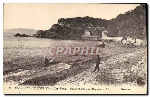 Cartes postales Environs de Toulon Cap Brun Plage et Pins de Magaud