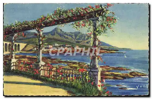 Cartes postales Cote d'Azur Antheor Var Le Cap Roux vu a travers une pergola