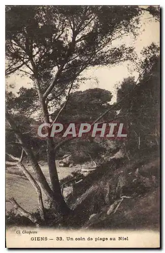 Cartes postales Giens Un coin de plage au Niel