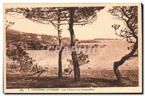 Cartes postales L'Esterel Antheor Les Villas et la Grenouillere