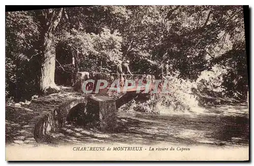 Ansichtskarte AK Chartreuse de Montrieux La riviere du Capeau