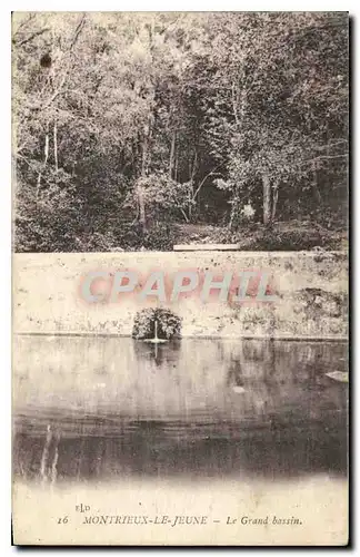 Cartes postales Montrieux le Jeune Le Grand Bassin