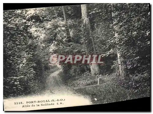 Cartes postales Port Royal S & O Allee de la Solitude