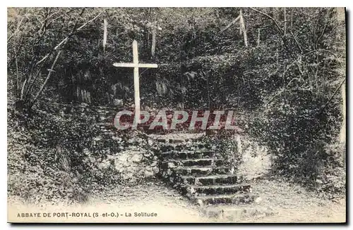 Cartes postales Abbaye de Port Royal S et O La Solitude