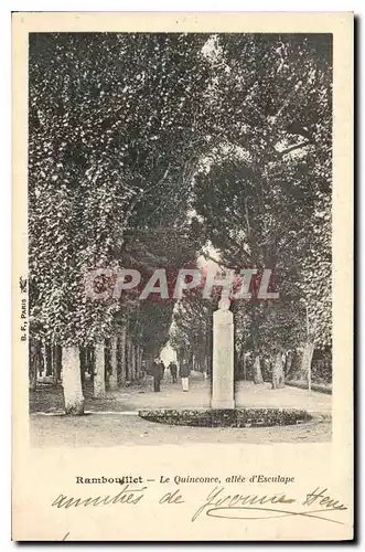 Cartes postales Rambouillet Le Quinconce allee d'Esculape