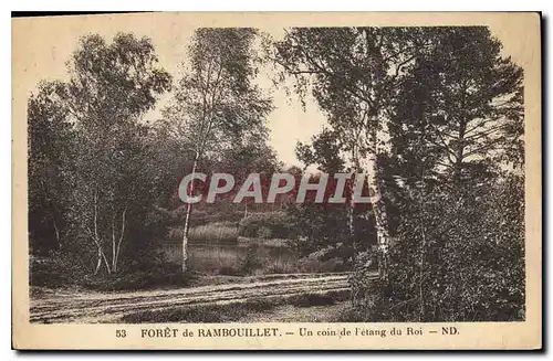 Ansichtskarte AK Foret de Rambouillet Un coin de l'Etang du Roi