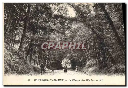 Cartes postales Montfort l'Amaury Le Chemin des Bluches