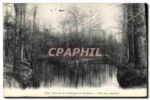 Cartes postales Chateau de Rochefort en Yvelines L'lle aux canards