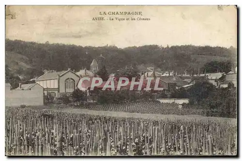 Ansichtskarte AK La Champagne Avize La Vigne et les Coreaux