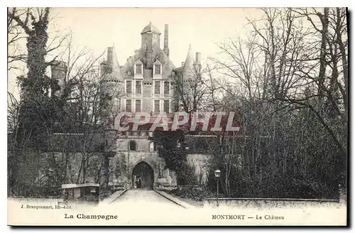 Cartes postales La Champagne Montmort Le Chateau