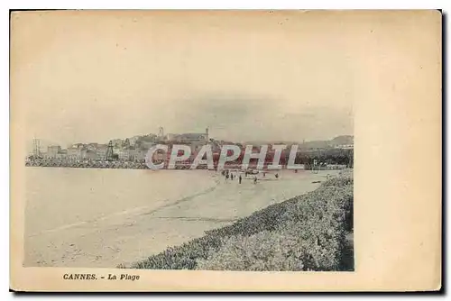 Cartes postales Cannes La Plage