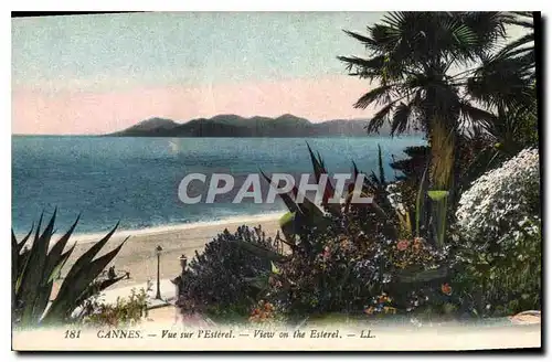 Cartes postales Cannes Vue sur l'Esterel