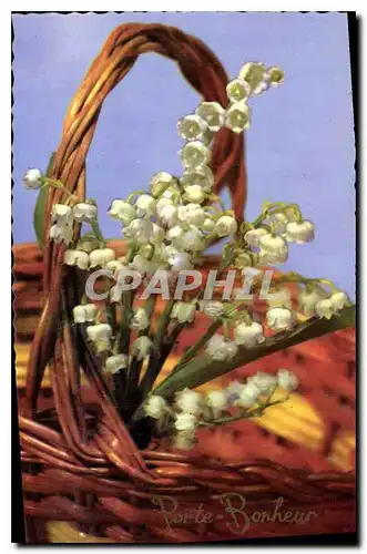 Cartes postales moderne Porte Bonheur Muguet