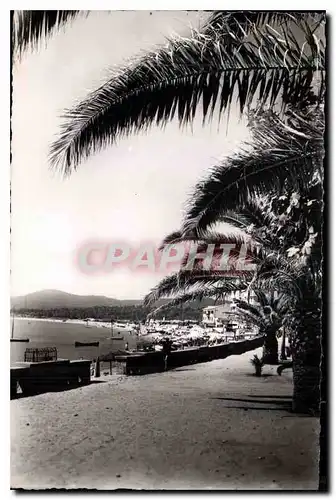 Cartes postales Le Lavandou La Plage