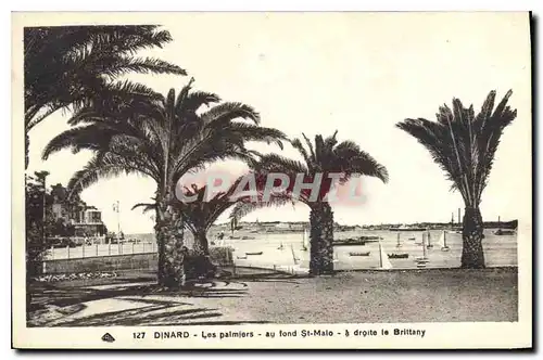 Cartes postales Dinard Les palmiers au fond St Malo