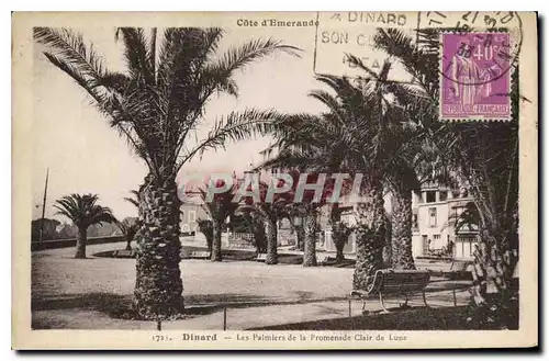 Cartes postales Dinard Les Palmiers de la Promenade Clair de Lune