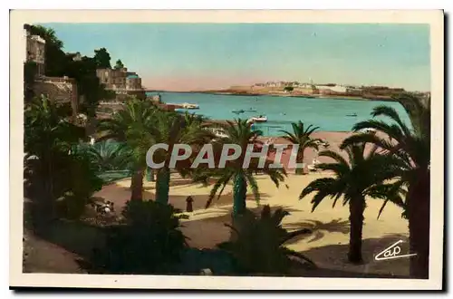 Cartes postales Dinard La Palmeraie St Malo