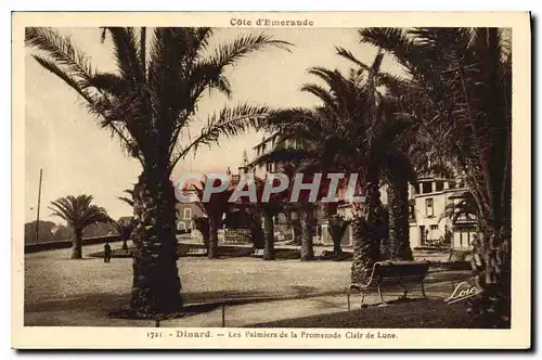 Cartes postales Dinard Les Palmiers de la Promenade Clair de Lune