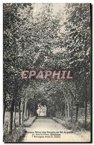 Cartes postales Orleans Maison Mere des Soeurs de St Aignan Principale allee du jardin