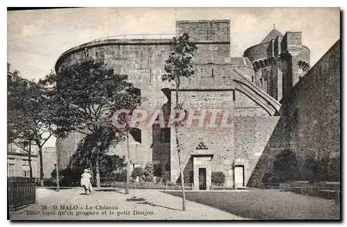 Cartes postales Saint Malo Le Chateau et le Petit Donjon